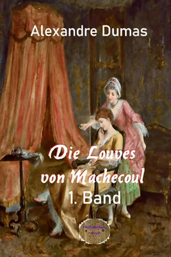 Alexandre Dumas d.Ä. Die Louves von Machecoul, 1. Band обложка книги