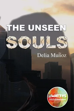 Delia Muñoz The unseen souls обложка книги