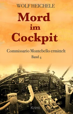 Wolf Heichele Mord im Cockpit обложка книги