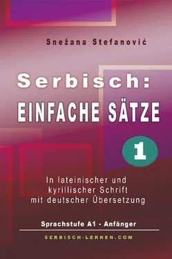 Snezana Stefanovic Serbisch: Einfache Sätze 1 обложка книги