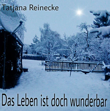 Tatjana Reinecke Das Leben ist doch wunderbar обложка книги