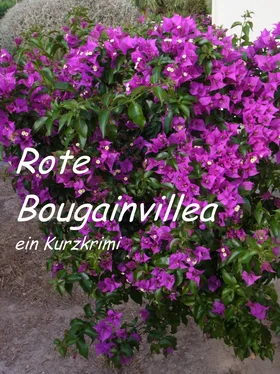 Lucy van Geldern Rote Bougainvillea обложка книги