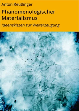 Anton Reutlinger Phänomenologischer Materialismus обложка книги