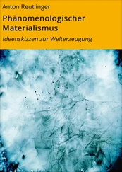 Anton Reutlinger - Phänomenologischer Materialismus