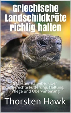 Thorsten Hawk Griechische Landschildkröte richtig halten обложка книги