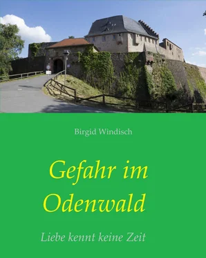 Birgid Windisch Gefahr im Odenwald обложка книги