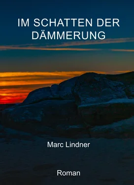 Marc Lindner Im Schatten der Dämmerung обложка книги