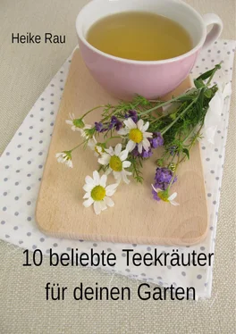 Heike Rau 10 beliebte Teekräuter für deinen Garten обложка книги