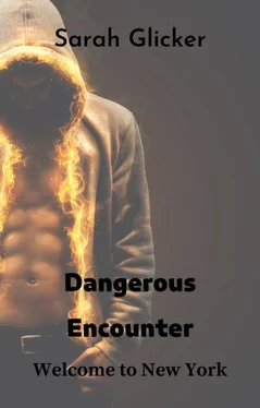 Sarah Glicker Dangerous Encounter обложка книги