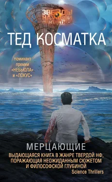 Тед Косматка Мерцающие обложка книги