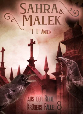 T.D. Amrein Sahra und Malek обложка книги