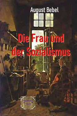 August Bebel Die Frau und der Sozialismus обложка книги