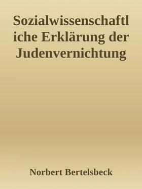 Norbert Bertelsbeck Sozialwissenschaftliche Erklärung der Judenvernichtung обложка книги
