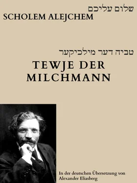 Scholem Alejchem Tewje der Milchmann обложка книги