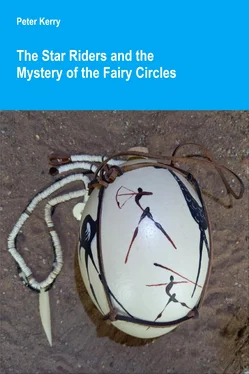Peter Kerry The Star Riders and the Mystery of the Fairy Circles обложка книги