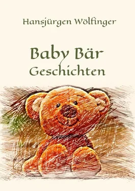 Hansjürgen Wölfinger Baby Bär Geschichten обложка книги