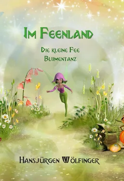 Hansjürgen Wölfinger Im Feenland -Die kleine Fee Blumentanz обложка книги