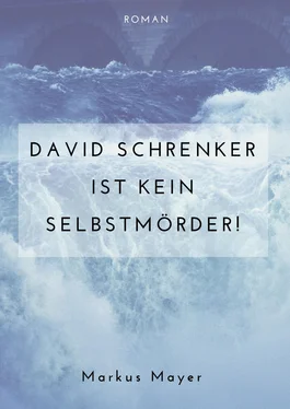 Markus Mayer David Schrenker ist kein Selbstmörder! обложка книги