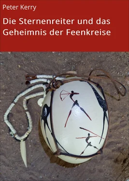 Peter Kerry Die Sternenreiter und das Geheimnis der Feenkreise обложка книги