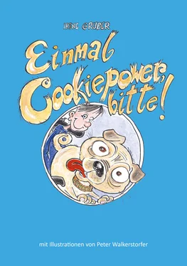 Irene Gruber Einmal Cookiepower, bitte! обложка книги
