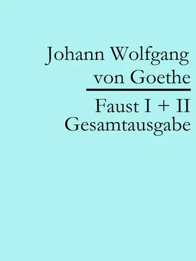 Johann Wolfgang von Goethe Faust I + II: Gesamtausgabe обложка книги