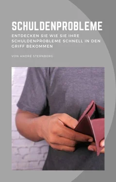 André Sternberg Schuldenprobleme обложка книги