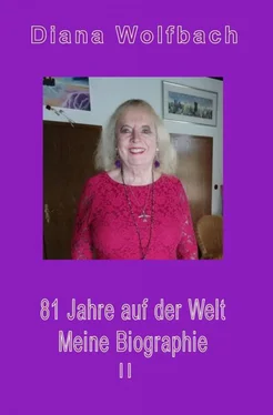 Diana Wolfbach 81 Jahre auf der Welt обложка книги