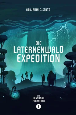 Benjamin Stutz Die Laternenwald-Expedition обложка книги