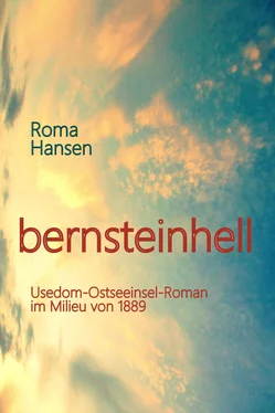 Roma Hansen bernsteinhell обложка книги