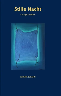 Johann Widmer Stille Nacht обложка книги