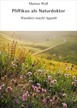 Marion Wolf Pfiffikus als Naturdoktor обложка книги