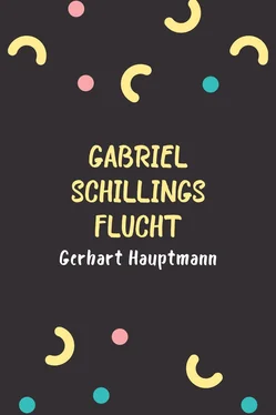 Gerhart Hauptmann Gabriel Schillings Flucht обложка книги