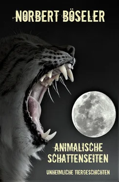 Norbert Böseler Animalische Schattenseiten обложка книги
