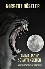 Norbert Böseler - Animalische Schattenseiten