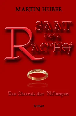 Martin Huber Saat der Rache обложка книги