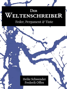 Heike Schwender Der Weltenschreiber обложка книги