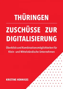 Kristine Henniges Thüringen - Zuschüsse zur Digitalisierung обложка книги