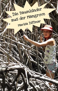 Marisa Dittmar Die Baumkinder aus der Mangrove обложка книги
