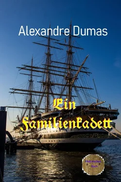 Alexandre Dumas d.Ä. Ein Familienkadett обложка книги