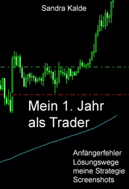 Sandra Kalde Mein 1. Jahr als Trader обложка книги