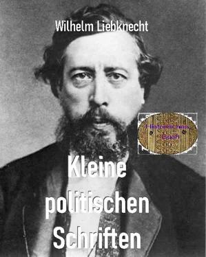 Wilhelm Liebknecht Kleine politischen Schriften обложка книги