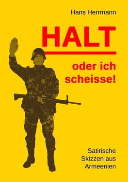 Hans Herrmann Halt oder ich scheisse! обложка книги