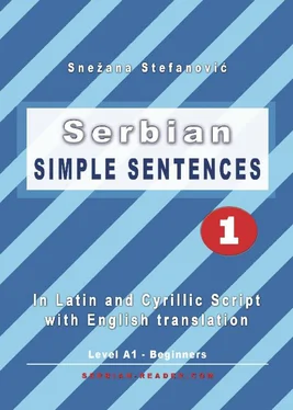 Snezana Stefanovic Serbian: Simple Sentences 1 обложка книги