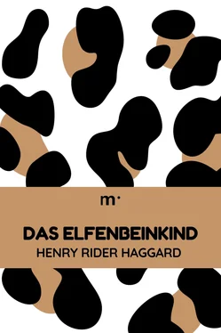 Henry Haggard Das Elfenbeinkind обложка книги