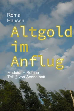 Roma Hansen Altgold im Anflug обложка книги
