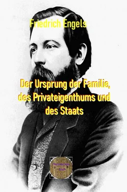 Friedrich Engels Der Ursprung der Familie, des Privateigenthums und des Staats обложка книги