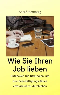 André Sternberg Wie Sie Ihren Job lieben обложка книги