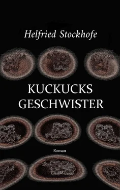 Helfried Stockhofe Kuckucksgeschwister обложка книги