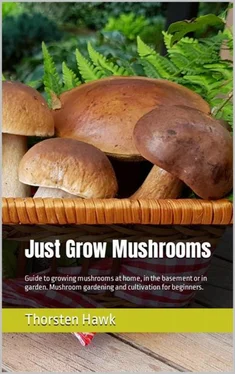 Thorsten Hawk Just Grow Mushrooms обложка книги