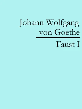 Johann Wolfgang von Goethe Faust I обложка книги